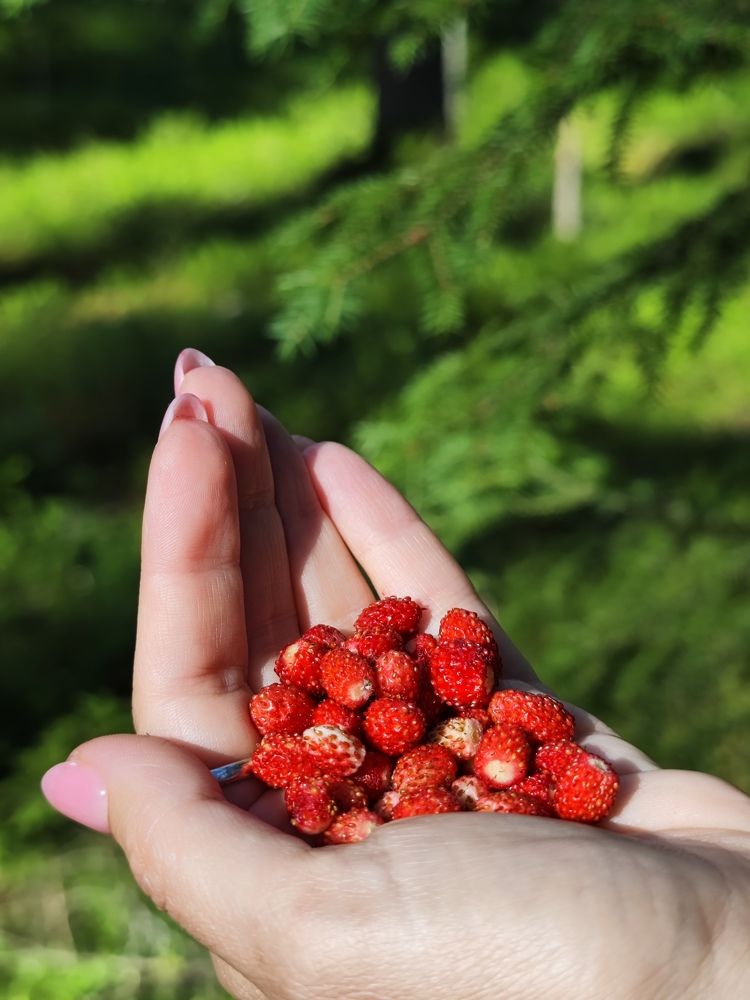 Photograph by Мария Устьянцева