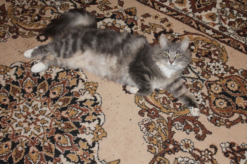 Photograph by Юрий