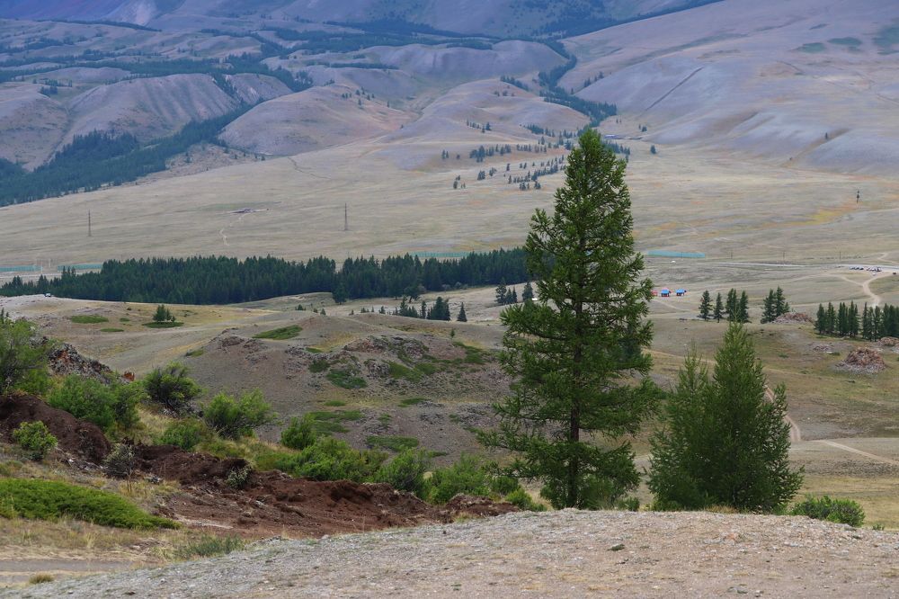 Photograph by Галина Мазур