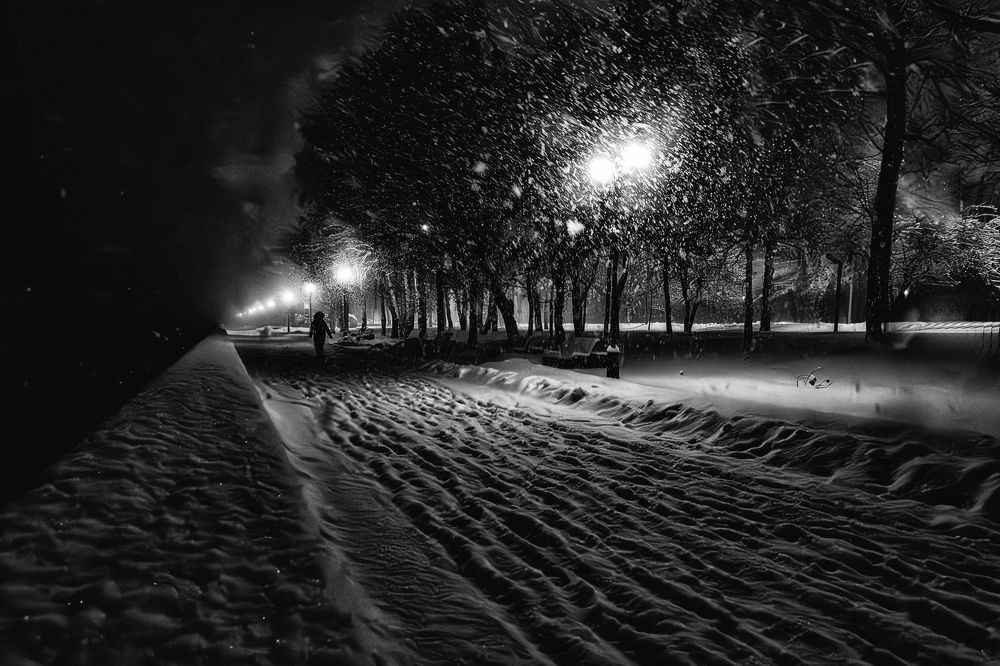 Фотография автора Андрей Жданов