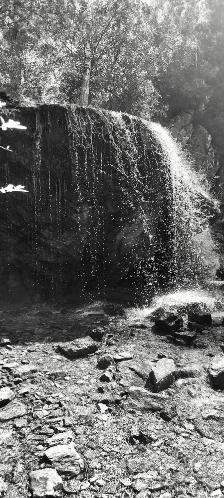 Photograph by Лариса Лысенко