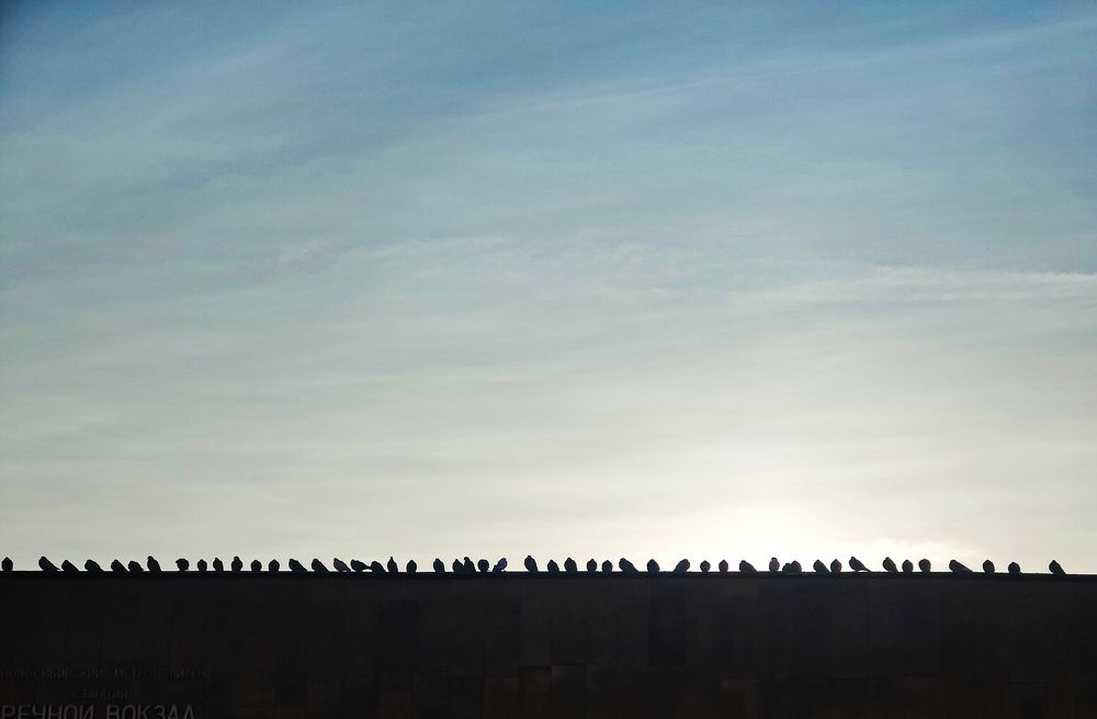 Photograph by Olena Chertous