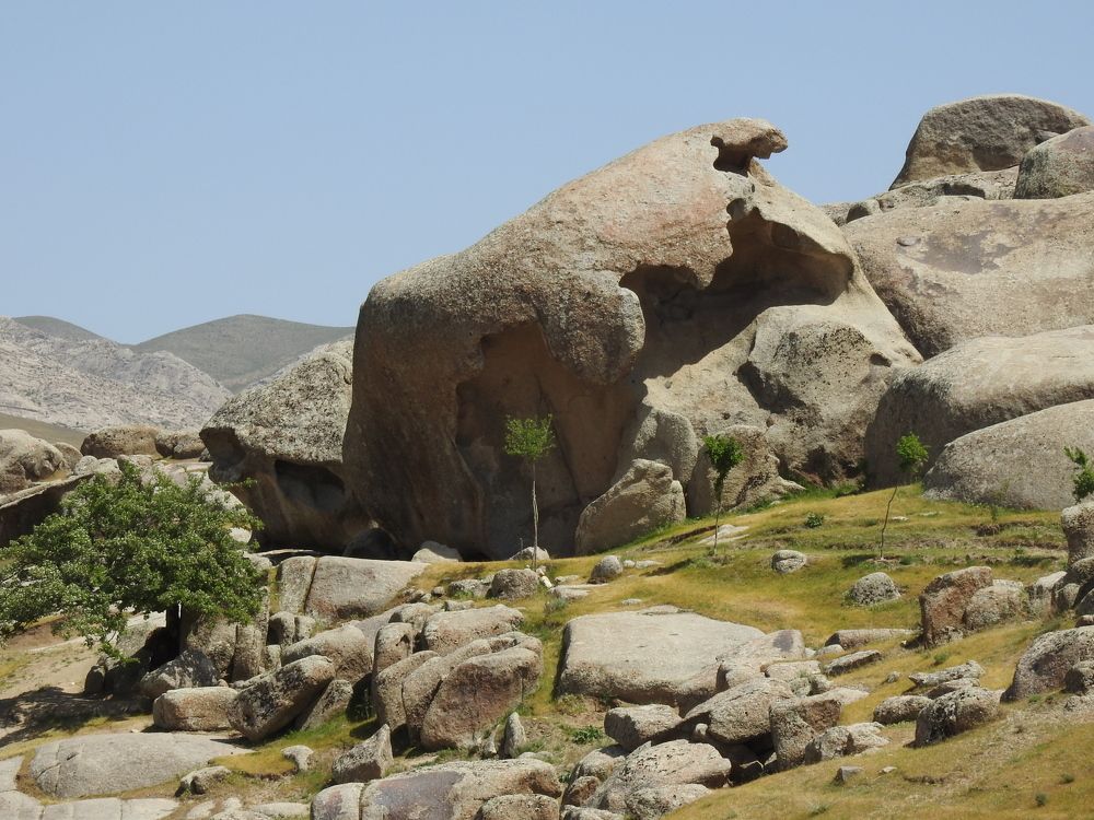 Фотография автора Shavkat Tojiyev