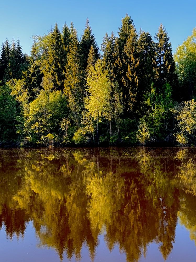 Photograph by Bobro Foto