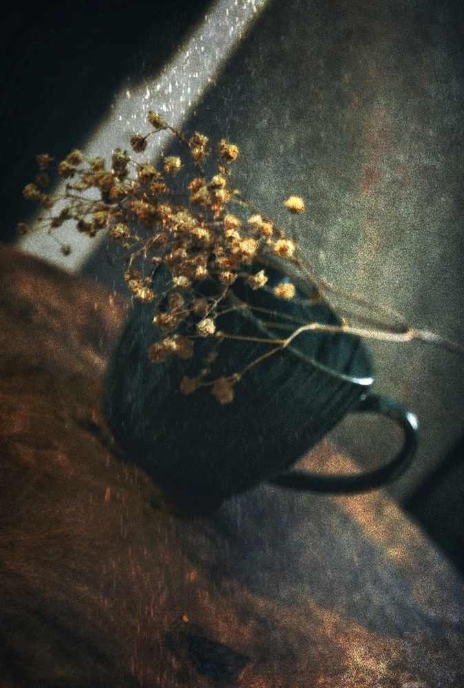 Photograph by Ольга Мальцева