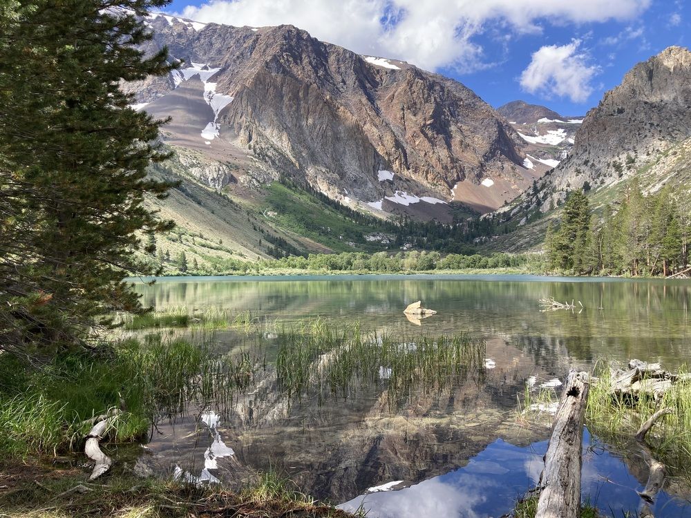 Фотография автора Елена