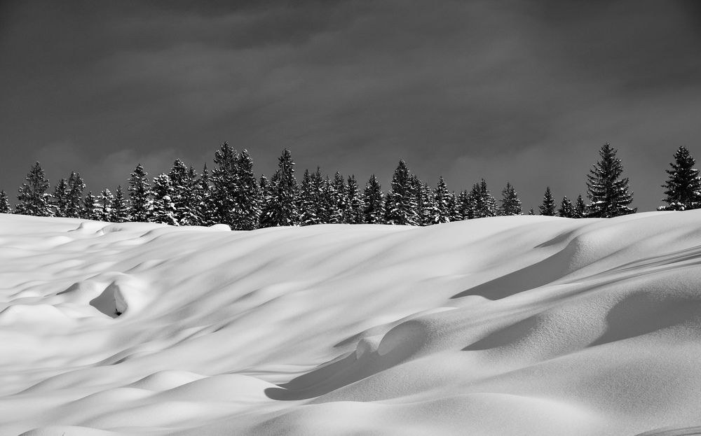 Фотография автора Liudmila Kiermeier