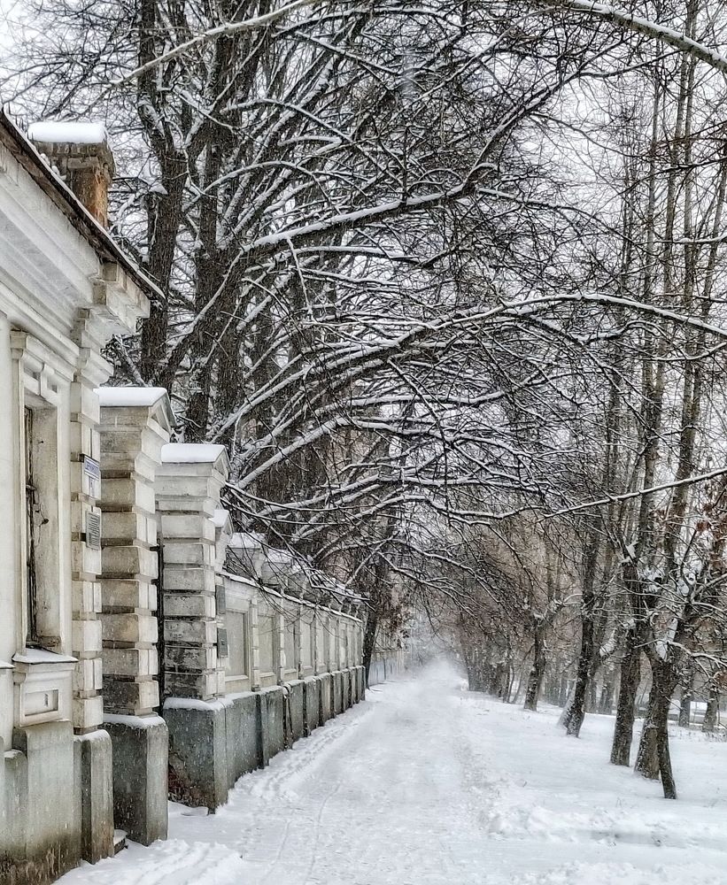 Photograph by Сергей Клапишевский