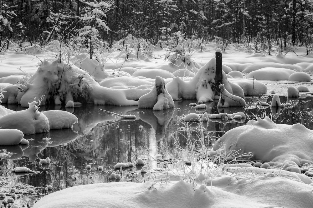 Photograph by Irina Luidinshina