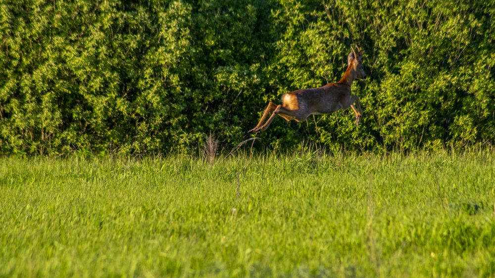 Photograph by Алексей Жариков