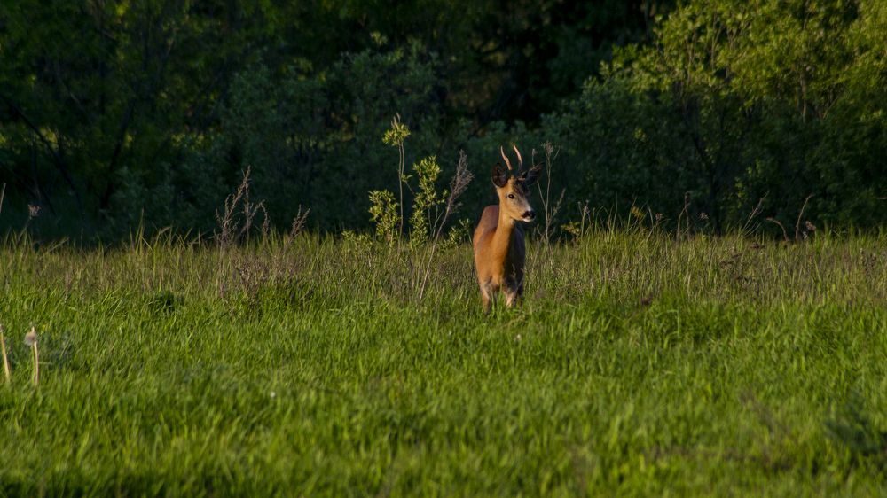 Photograph by Алексей Жариков