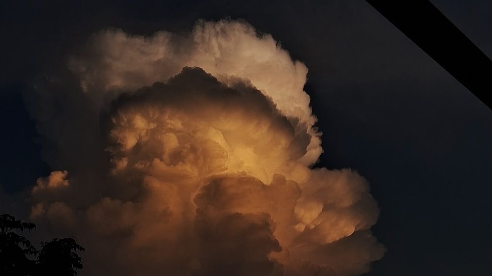 Photo #11538655