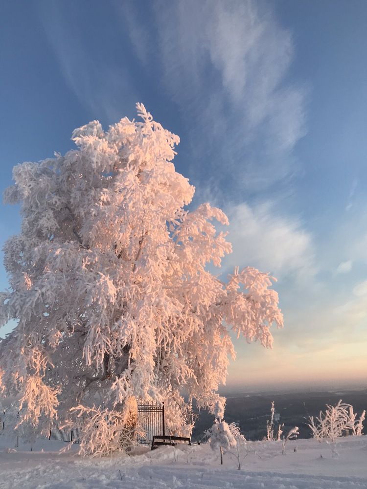 Photograph by Юлия