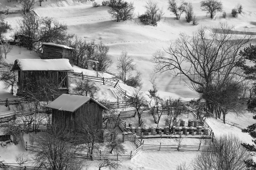 Photograph by Маджаров Костадин