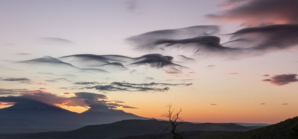 Photograph by Максин Александр