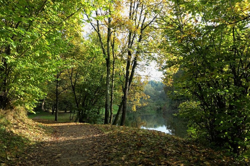 Photograph by jelena konickaja