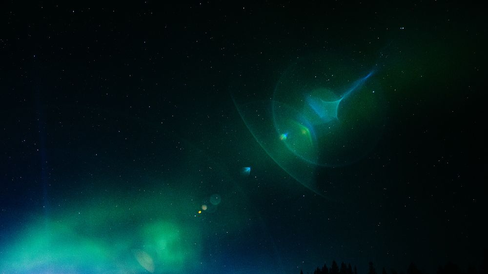 Photograph by Никита Щеглов