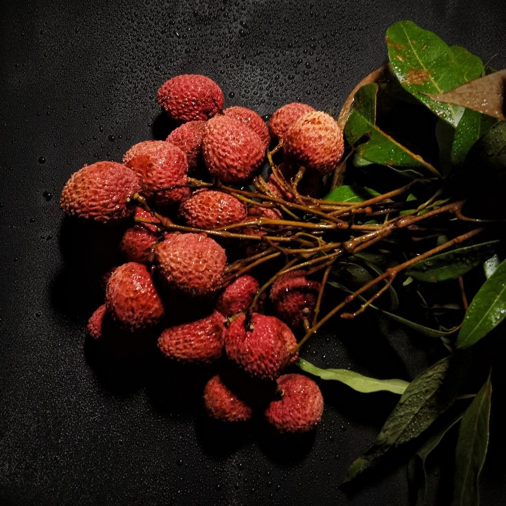 Photograph by Vedika Navghare