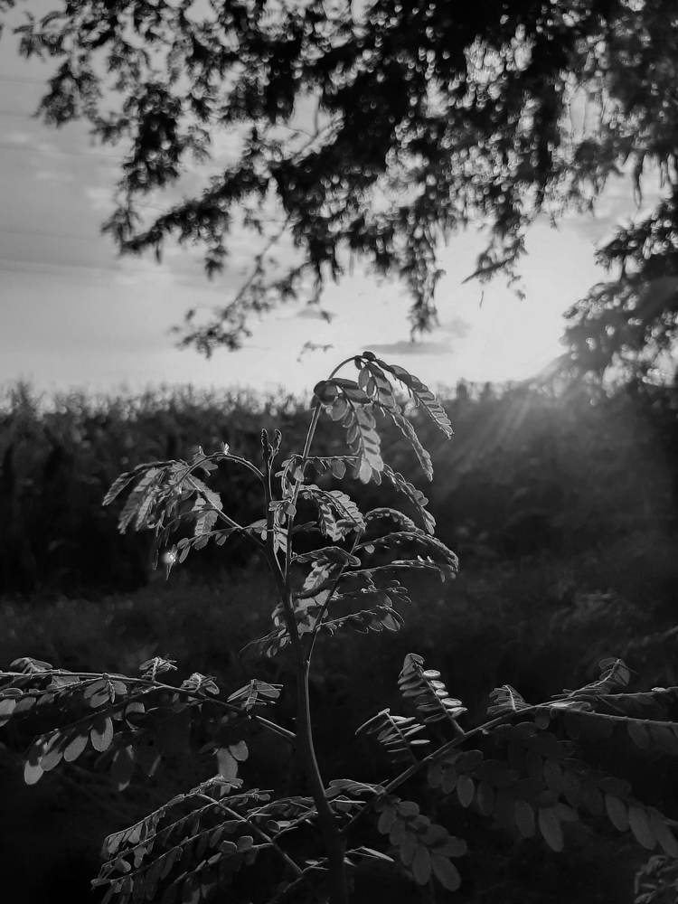 Фотография автора Даниил Барченко