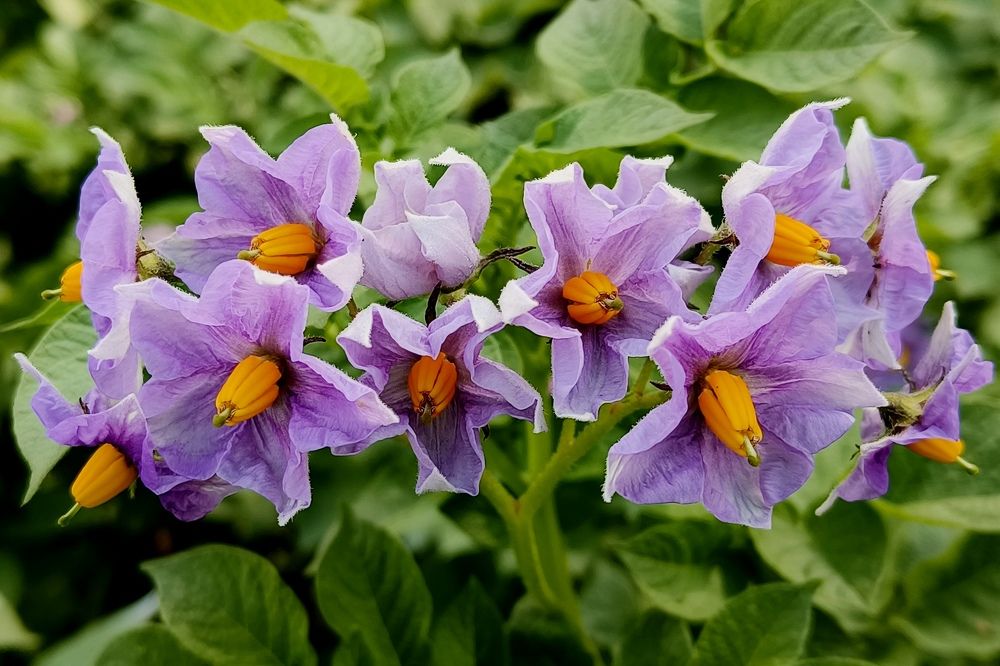 Photograph by Александр