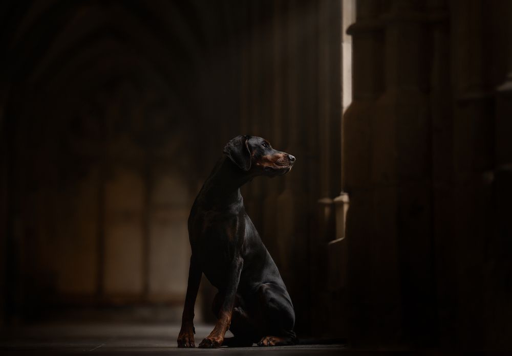 Фотография автора Meraki Art