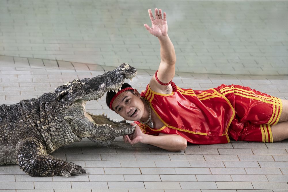 Photograph by Celal Oflaz