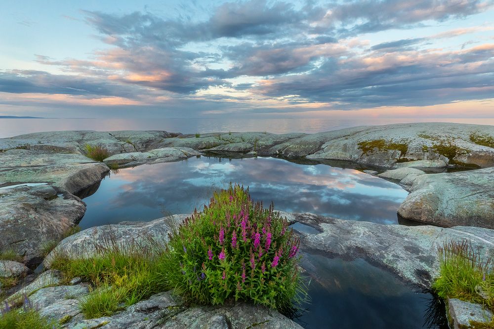 Photograph by Alexander Pashenichev