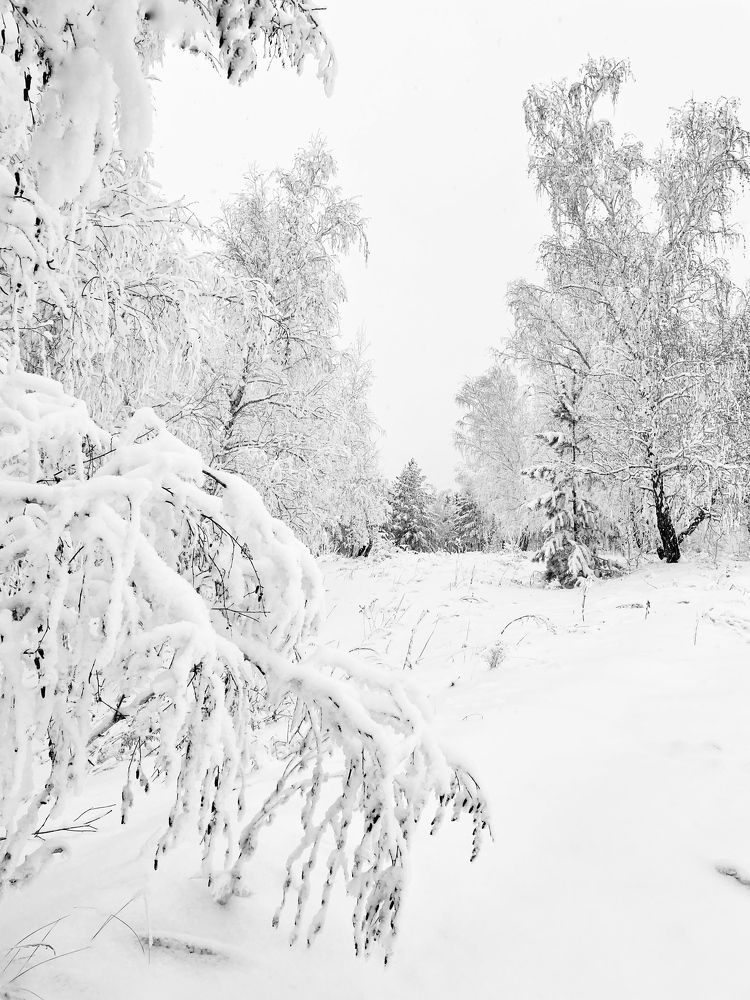 Photograph by Nadezda Yablokova