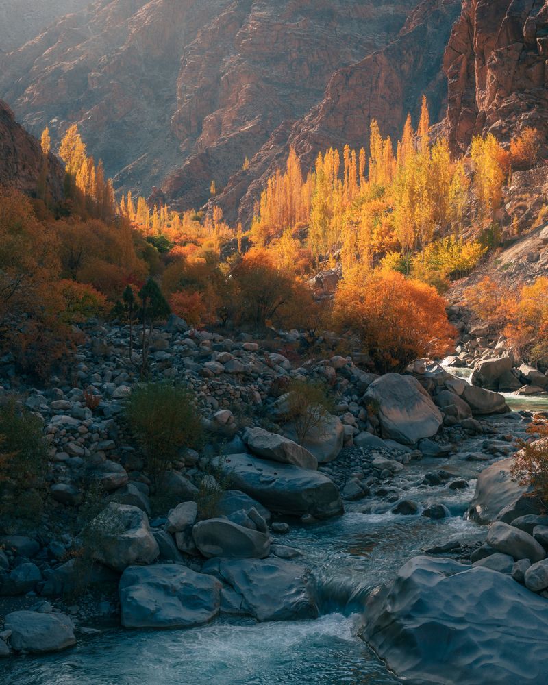 Nature painted with gentle light