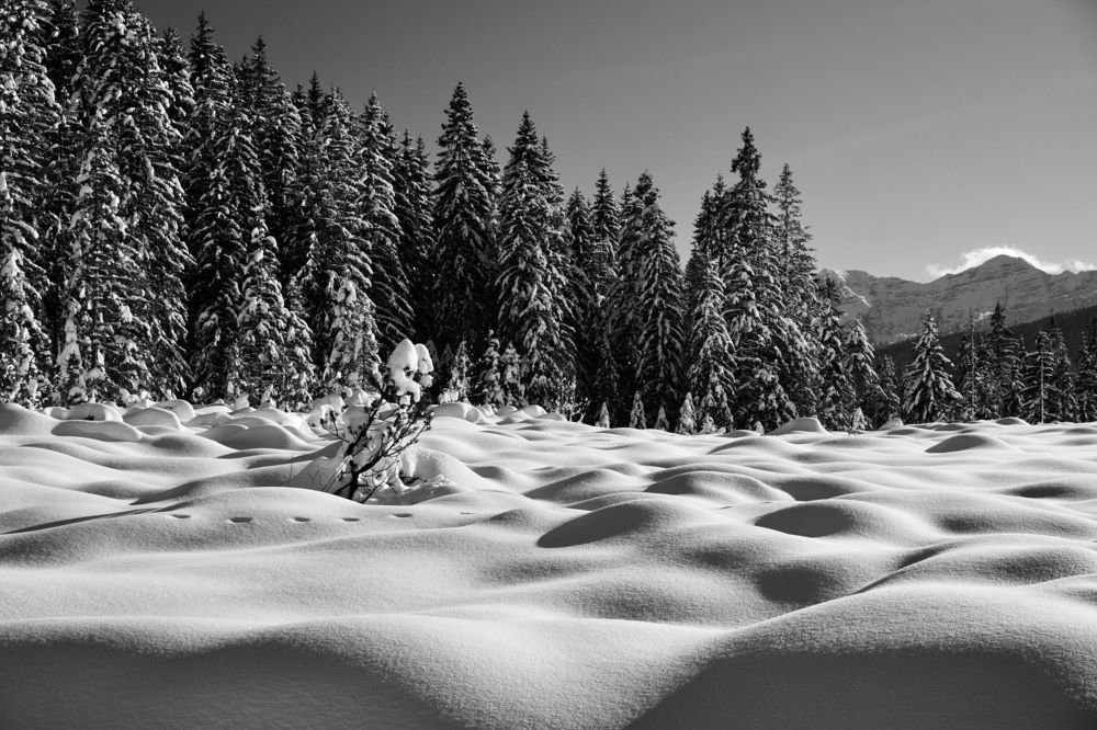 Фотография автора Liudmila Kiermeier