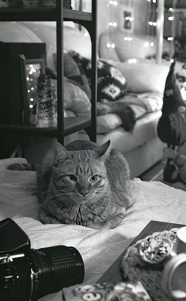 Photograph by Dima Maltsev