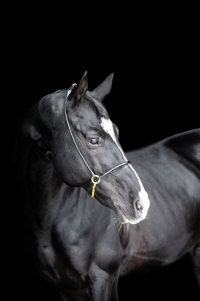 Photograph by Полина Фрольцова