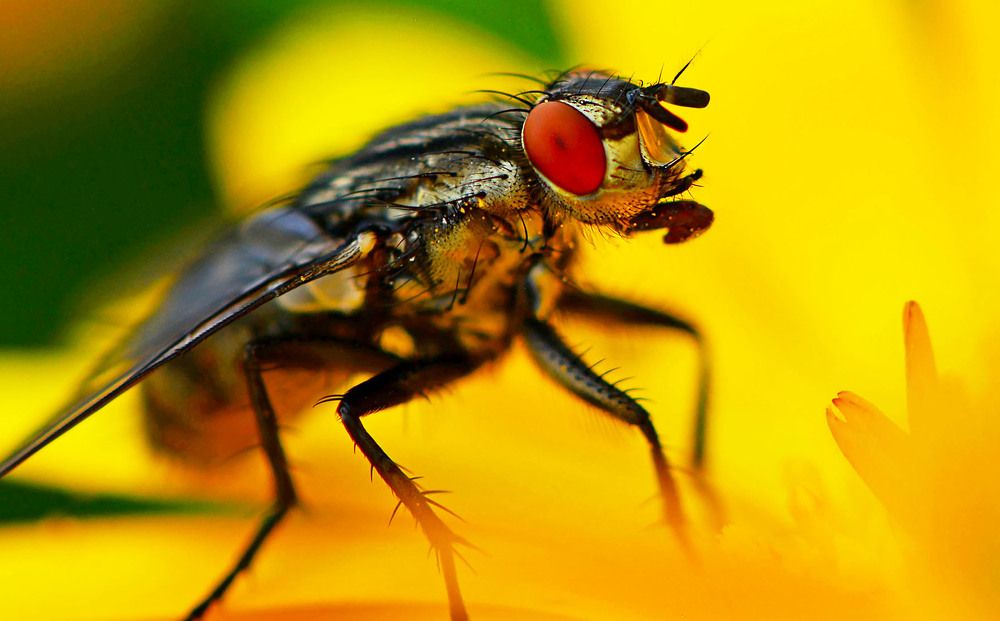 Photograph by Marjo Steffen