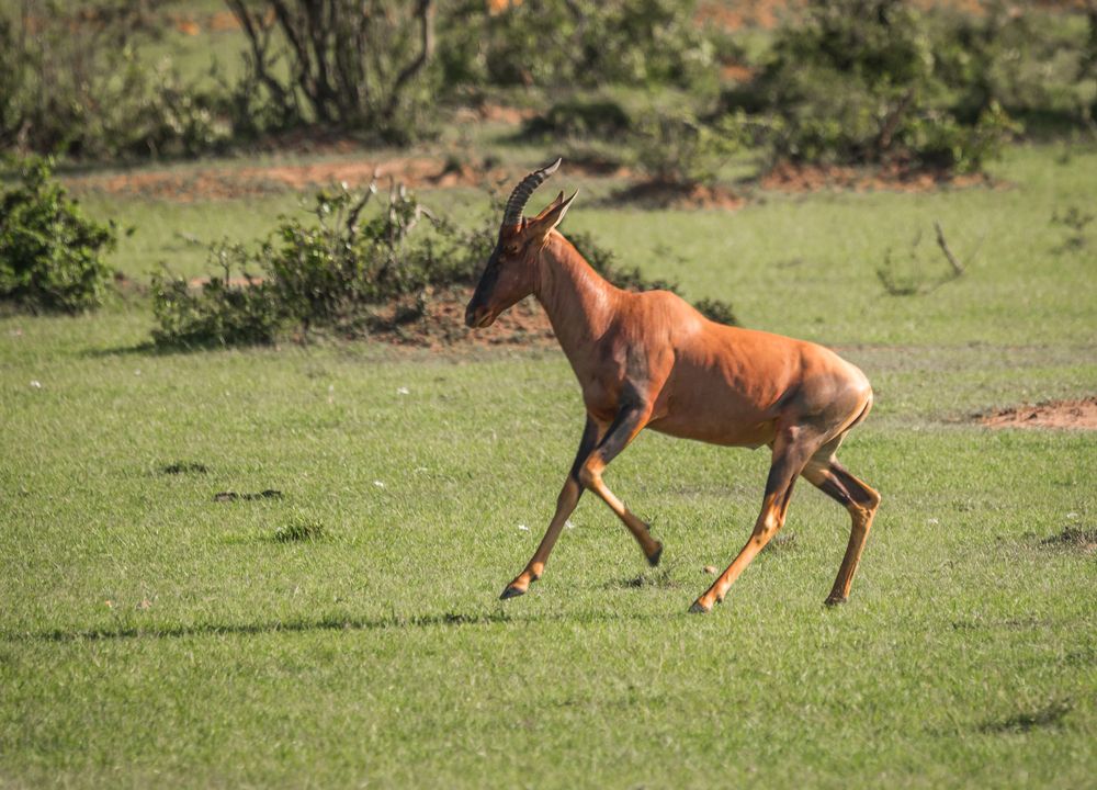 Photograph by Максимова Дария