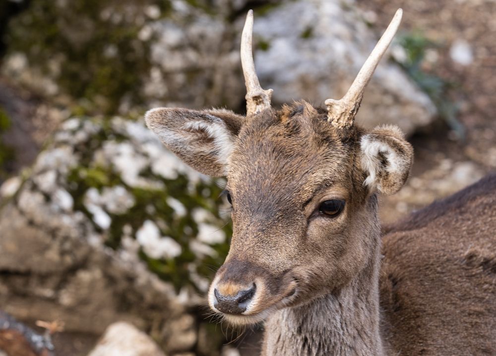 Photograph by Максимова Дария
