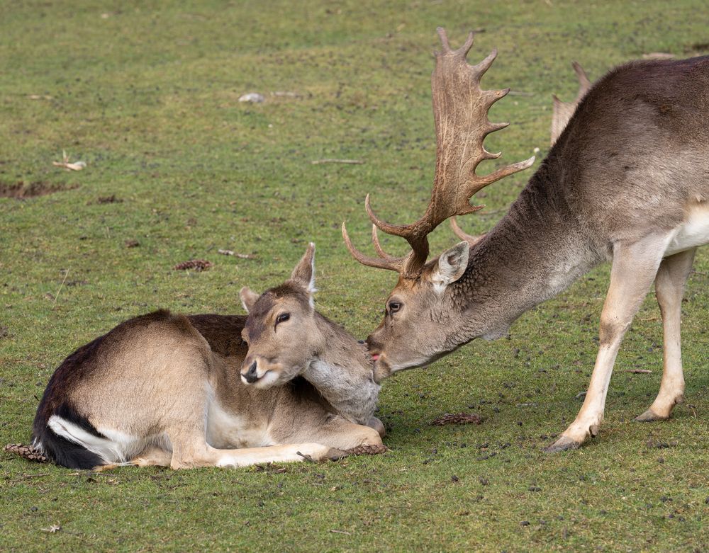 Photograph by Максимова Дария