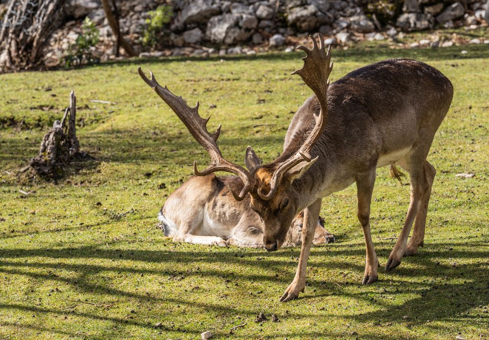 Photograph by Максимова Дария