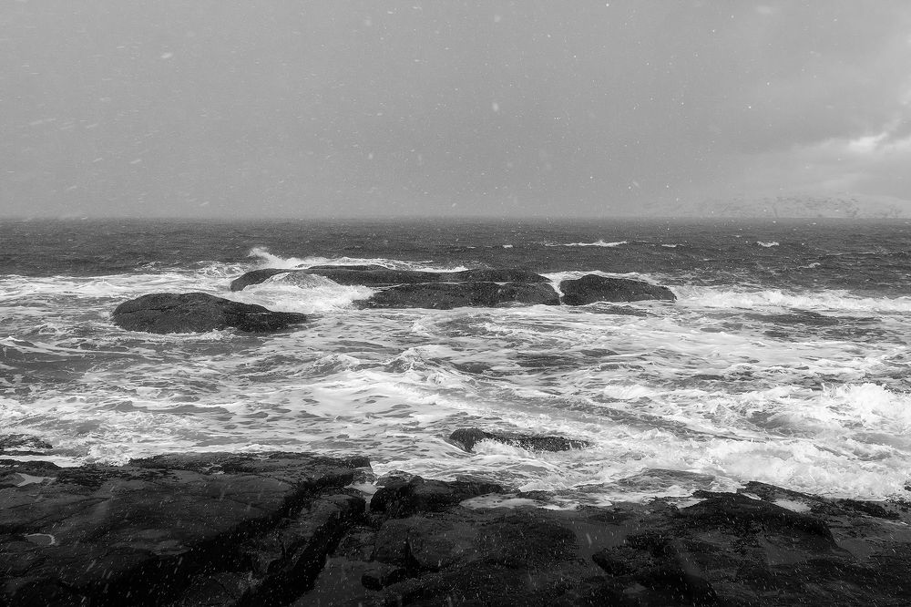 Фотография автора Alexander Pashenichev