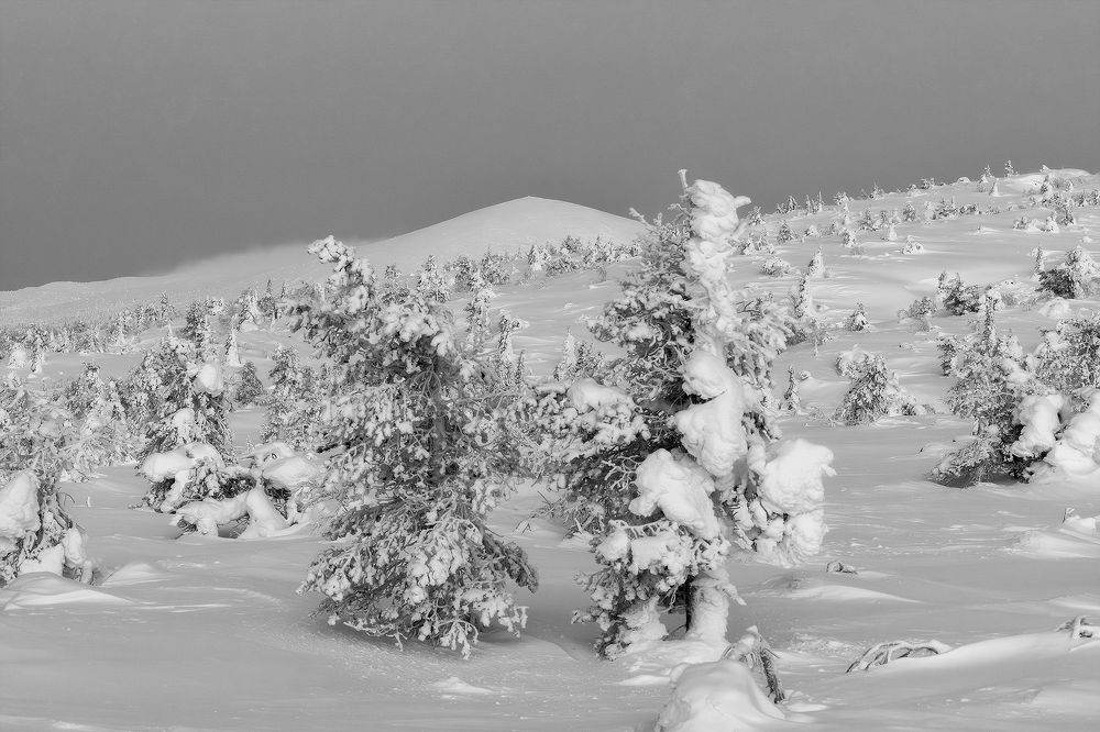 Фотография автора Alexander Pashenichev