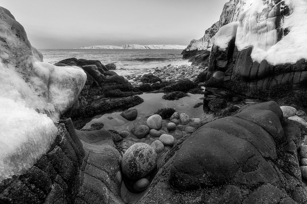 Фотография автора Alexander Pashenichev