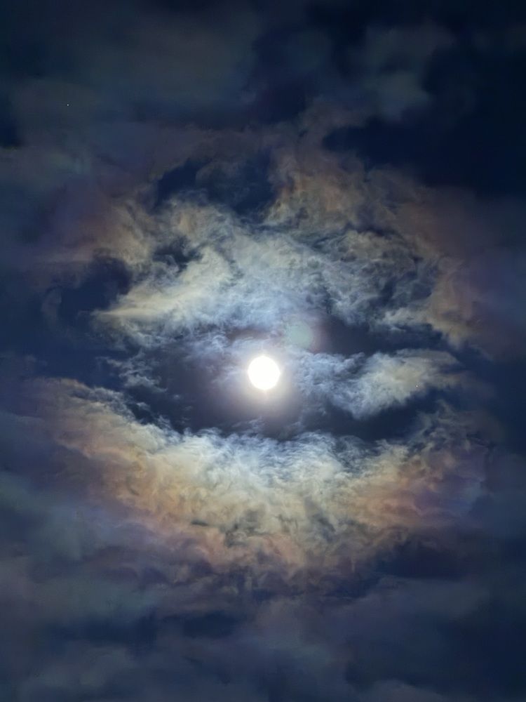 Фотография автора Злывко Владимир