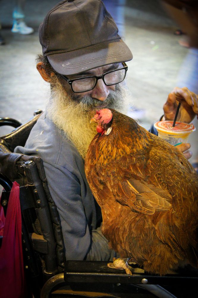 Фотография автора Manuel