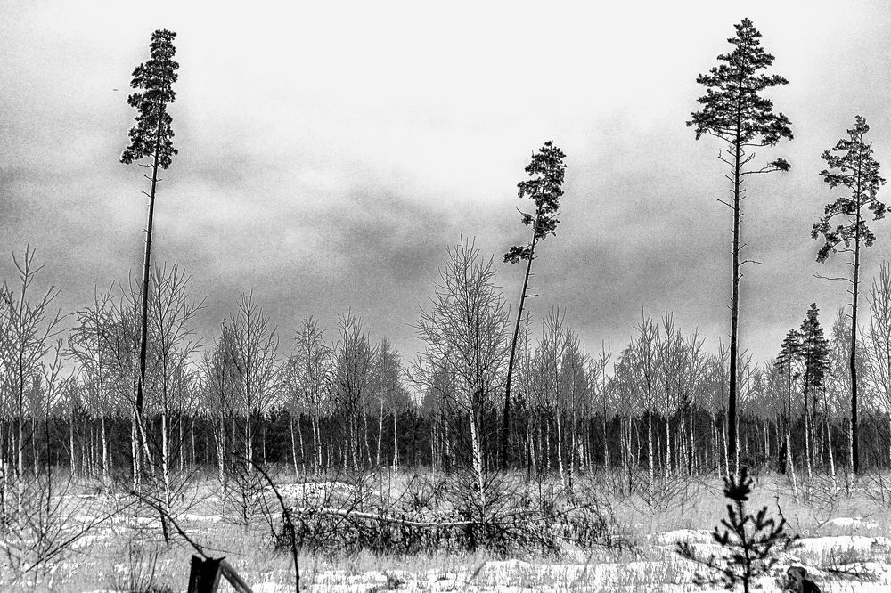 Фотография автора Елена Чиликина