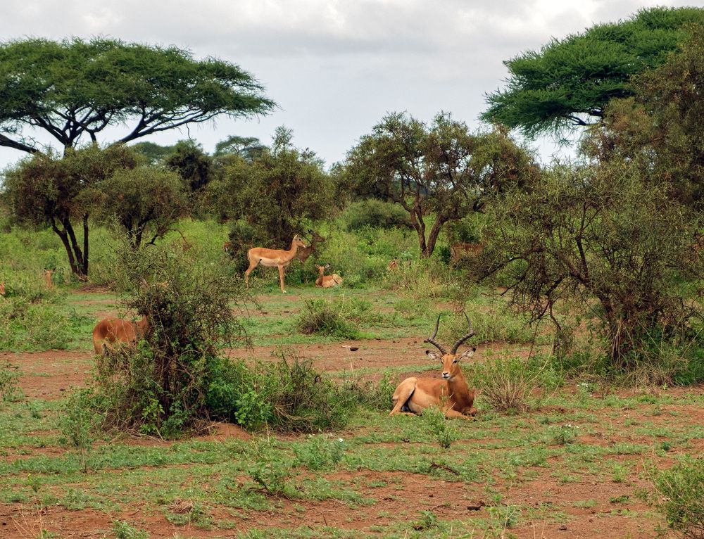 Фотография автора Наталья Липовская