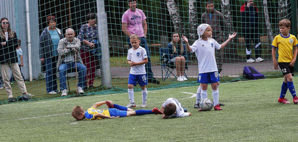 Я их не трогала они сами упали!