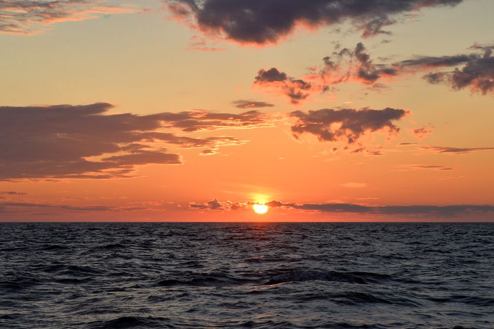 Photograph by Olga Mendosa