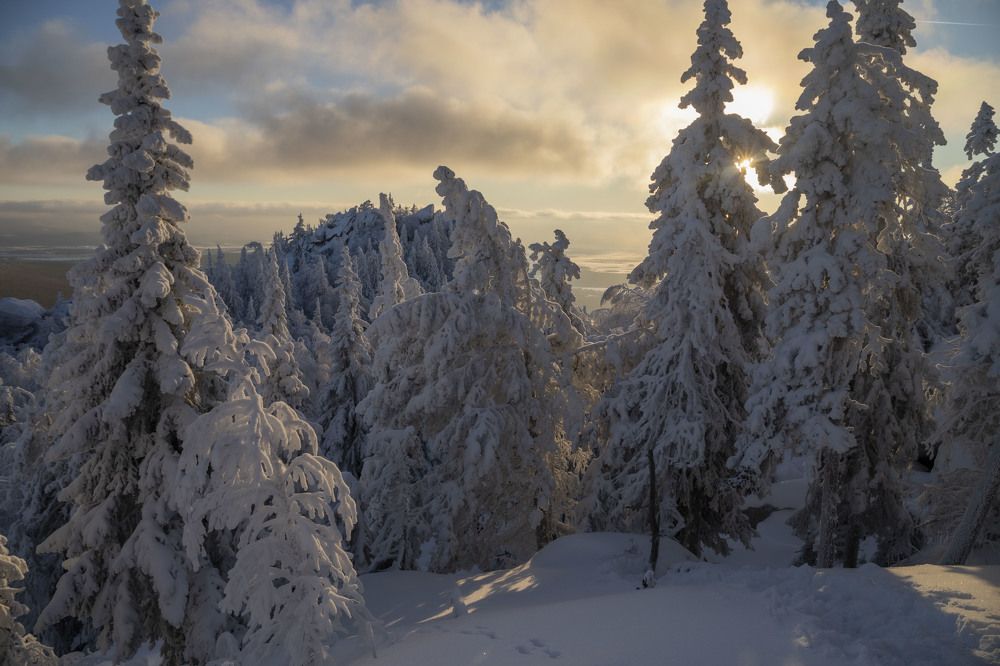 Photograph by Елена Перминова