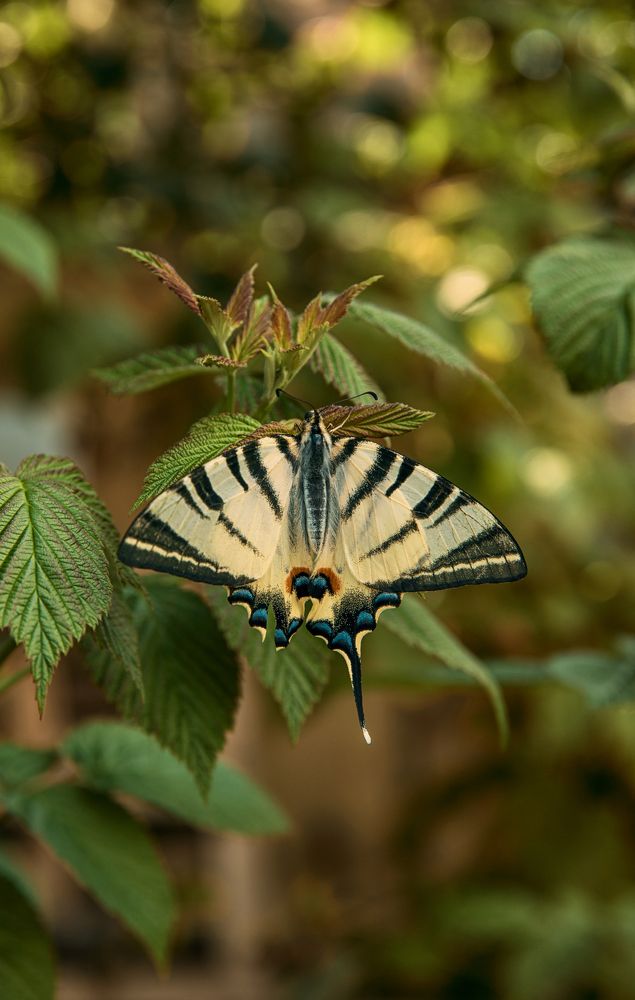 Photograph by Татьяна Тихонова