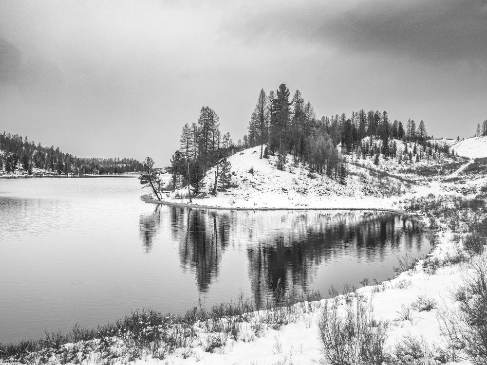 Photograph by Надежда Михайлина