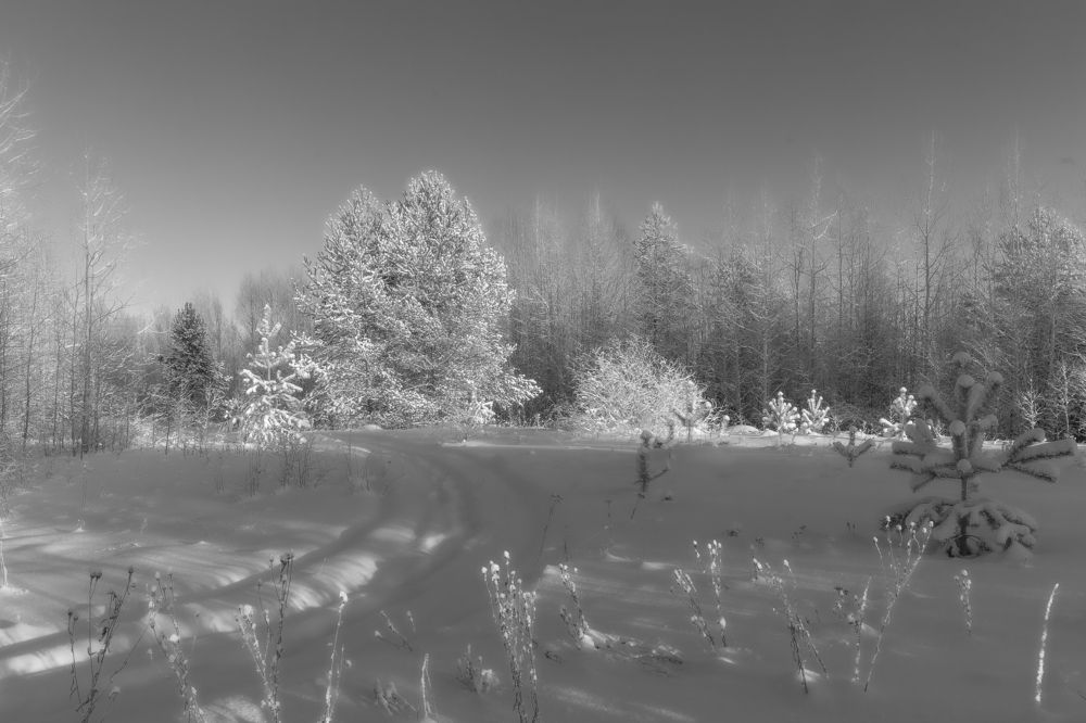 Photograph by Елена Хорохорина